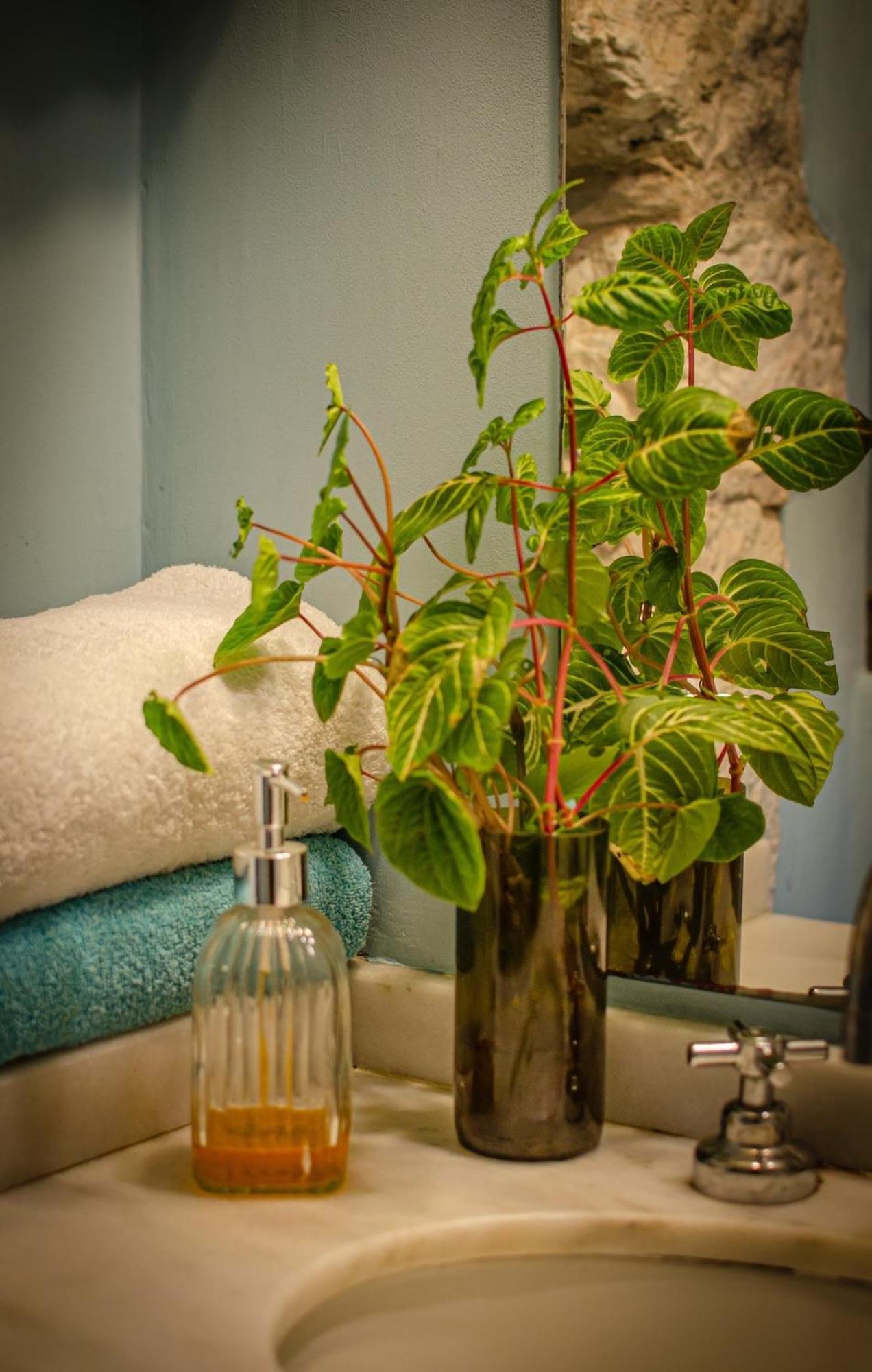 Casa Mansa Bed & Breakfast